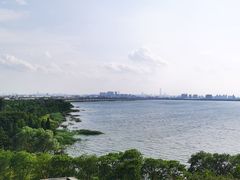 -阳澄湖费尔蒙酒店颐丰阁中餐厅(马鞍山西路店)