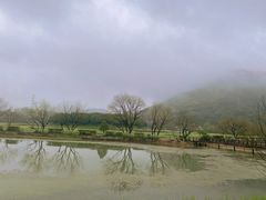 -八卦田遗址公园