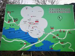 -广州市流溪河国家森林公园