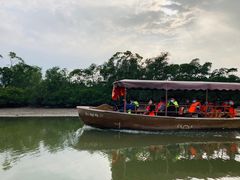 -东寨港红树林旅游区