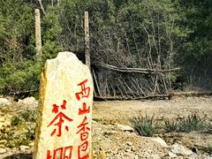 -北京西山国家森林公园