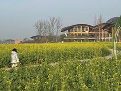 -中国天府农业博览园