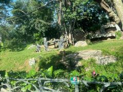 -海南热带野生动植物园