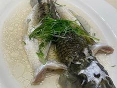 油盐蒸青竹皖鱼-稻香酒家·35年老字号(侨光店)