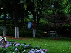 -常州古运河南大街文化旅游区-人民公园