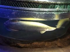 -青岛海底世界-水族馆