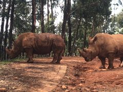 -云南野生动物园