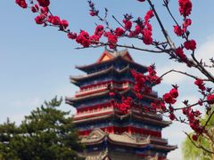 -终南山古楼观历史文化景区