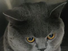 -爱侣宠医·鹦鹉专科·小型哺乳类·异宠专科(灵石路店)