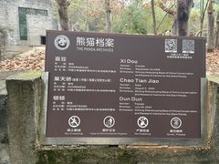 -都江堰中华大熊猫苑