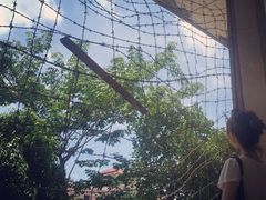-吐斯廉屠杀博物馆