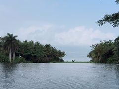 -三亚太阳湾柏悦酒店