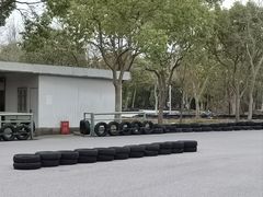 -上海海湾国家森林公园