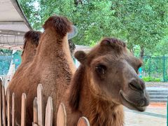 -海合安武汉极地海洋公园