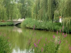 -河北省园博园