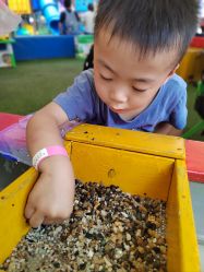 点击看大图 -寻石问宝研学亲子乐园(朝阳公园店)