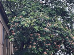 -东戴河风景区-止锚湾