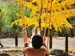 -北京水岸山吧度假村(雁栖镇店)