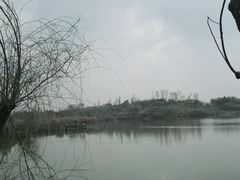 -白鹭湾湿地公园