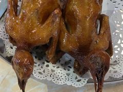 -石岐乳鸽村(南海第三分店)
