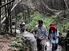 -会稽山峡洞漂流-上青古道