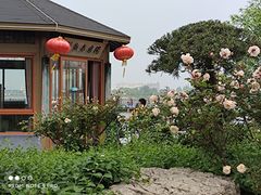 -鹅湖玫瑰文化园