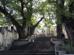 -龙环葡韵住宅式博物馆