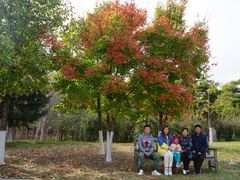 -长春世界雕塑园冰雪艺术天地