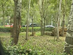 -秦皇岛野生动物园