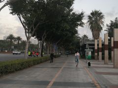 -海沧湾公园