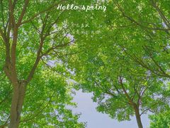 -郑州中国绿化博览园