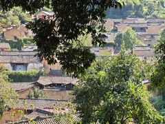 -杨家堂村