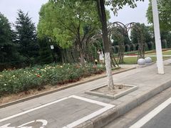-随州碧桂园凤悦凤凰酒店