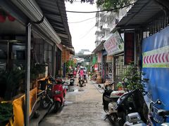 -桂林市花鸟市场