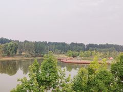 -东郊湿地公园