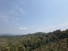 -西双版纳基诺山寨