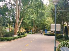 -T80科技文化国际社区-停车场