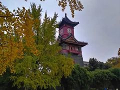 -四川大学(华西校区)