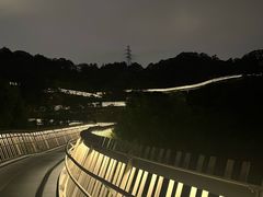 -福道