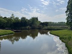 -黄海国家森林公园