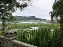 -鸣鹤古镇