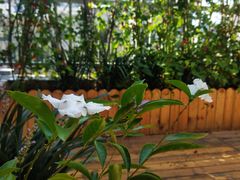 -梵舍·沙浴养生SPA