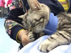 -北京赛佳动物医院