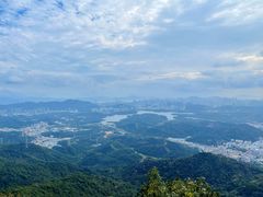 -阳台山森林公园