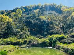 -西山风景区