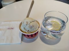 夏威夷果仁冰淇淋-哈根达斯(天河城店)
