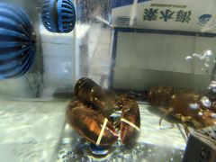 -宝园酒家(美林M·LIVE天地东座店)