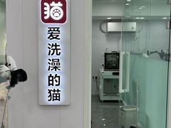 -爱洗澡的猫(望京店)