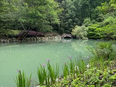 -灵栖洞天
