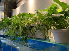传统精品烤鸭-惠丰堂饭庄·烤鸭·京味菜(西北旺·唐家岭店)
